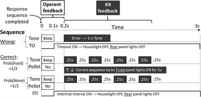 Reduced Frequency of Knowledge of Results Enhances Acquisition of Skills in Rats as in Humans